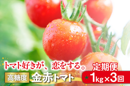 y3ցiujzg}gDAB ԃg}g 1kg×3iv3kgjԃg}g~j  VN Ė {  ~jg}g v`g}g t[c g}g Y Z