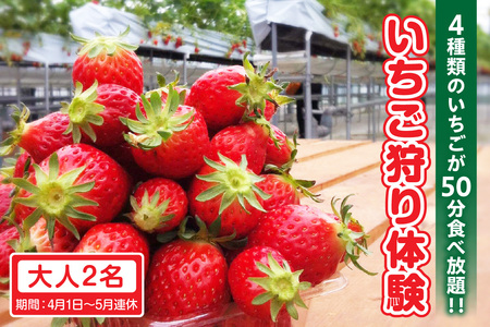 4ނ̂50HוIǏi41`5Axjyl2zl1   䕎 ̌ Ђ gق ߂̂ ڂ gbsO \  N[