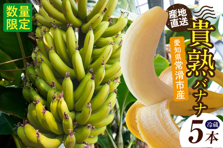 貴熟バナナ (5本) ばなな フルーツ 果物 国産 国産バナナ 自然追熟 循環農法 自然農法 デザート 希少 アスナロファーム 愛知県 常滑市