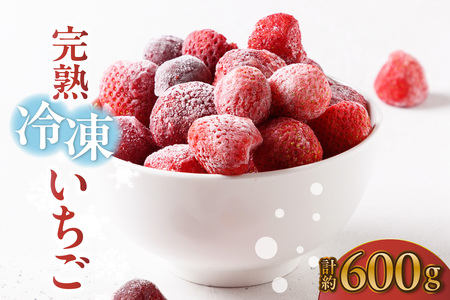 �y��s�\��z���n�Ⓚ������ �y600g×1�܁z�v600g ������ � �X�g���x���[ �Ⓚ �t���[�Y�� �������� �Â� �嗱 �傫�� �ʕ� �t���[�c ���ʌ��� farm�������� ���m�� �튊�s