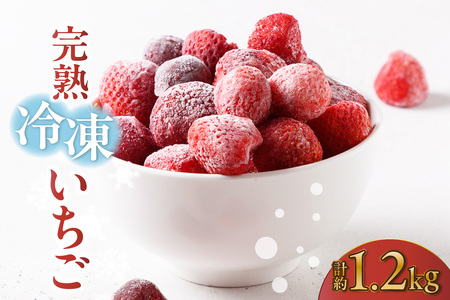 �y��s�\��z���n�Ⓚ������ �y600g×2�܁z�v1.2kg ������ � �X�g���x���[ �Ⓚ �t���[�Y�� �������� �Â� �嗱 �傫�� �ʕ� �t���[�c ���ʌ��� farm�������� ���m�� �튊�s