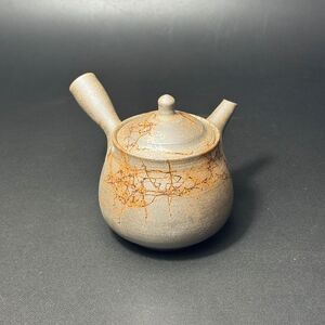 仁 18号炭化洋梨藻掛茶注(木)1-181|陶器 やきもの 焼き物 手作り 谷川仁 職人 伝統工芸品 急須 常滑焼愛知県 常滑市