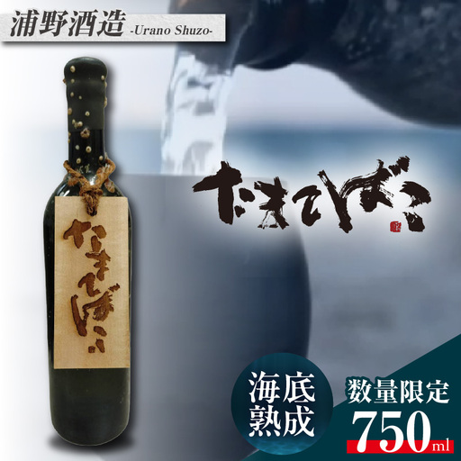 [テレビで紹介!]伊勢湾竜宮熟成酒「たまてばこ」[浦野酒造]│日本酒 酒 常滑市
