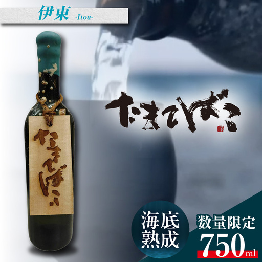 [テレビで紹介!]伊勢湾竜宮熟成酒「たまてばこ」[伊東]│日本酒 酒 常滑市