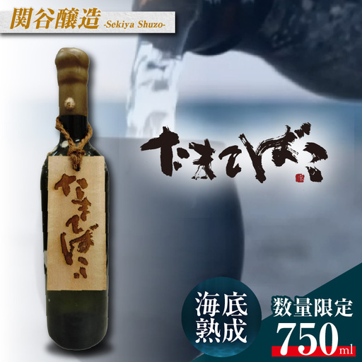 [テレビで紹介!]伊勢湾竜宮熟成酒「たまてばこ」[関谷醸造]│日本酒 酒 常滑市
