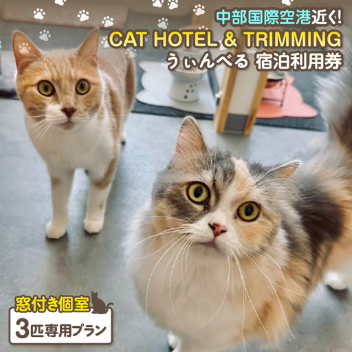 CAT HOTEL & TRIMMING　うぃんべる　宿泊利用券　3匹専用プラン│ペットホテル 宿泊券 猫 1泊2日 愛知県 常滑市