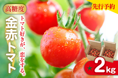 ys\zy2025N12珇zg}gDAB@2kg@ԃg}g~j  VN Ė {  ~jg}g v`g}g t[c g}g Y Z Z
