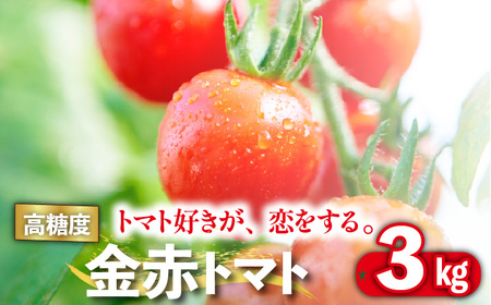 トマト好きが、恋をする。　3kg　金赤トマトミニ