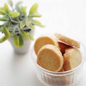 낱΂̃zGCNbL[@v[@50g×12y1550490z