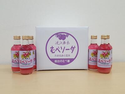 むべソーダ詰合せ(12本入)
