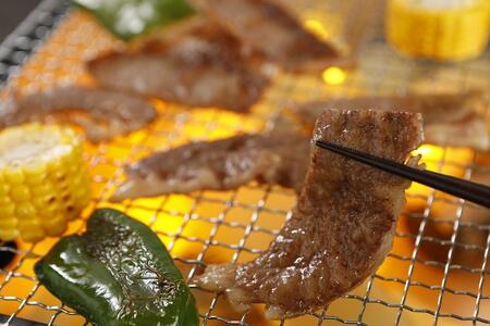 特選焼肉500g[近江牛A5ランクメス牛みのや精肉店]
