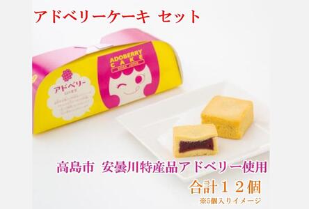 アドベリー ケーキ セット(合計12個) 高島市安曇川 特産品アドベリー使用