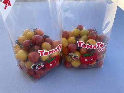 �y6�������z���l�_�ƍ��Z �~�j�g�}�g 800g