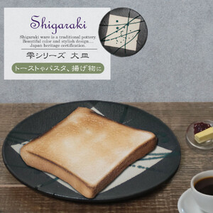 信楽焼 陶器製 雫シリーズ 変形黒皿緑雫大皿 パスタ皿