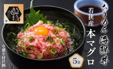 海の宝石 ちりめん海鮮丼 若狭産 本マグロ 40g×5袋 ( 本マグロ マグロ海鮮丼 マグロ200g 海鮮 マグロ 冷凍マグロ海鮮丼プロトン凍結 マグロ 小分けマグロ マグロ個包装 40g×5袋 マグロ 京都府 舞鶴市 海鮮マグロ )