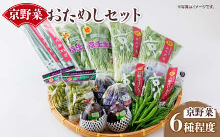 京野菜おためしセット 6種程度 ( 京野菜 野菜詰め合わせ セット野菜 京都 季節 旬 九条ネギ 万願寺 賀茂なす 京都府産 野菜 数量限定 冷蔵 野菜セット 京野菜セット)