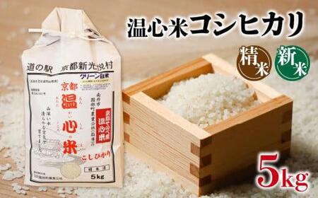 令和6年 産 コシヒカリ 精米 5kg 温心米 こしひかり 京都 南丹米 5Kg こめ コメ お米 こしひかり コシヒカリ 温心米 米 5Kg