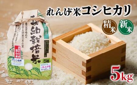 令和6年 産 コシヒカリ 精米 5kg れんげ米 こしひかり 京都 南丹米 5Kg こめ コメ お米 こしひかりコシヒカリ れんげ米 米 5Kg こめ コメ お米