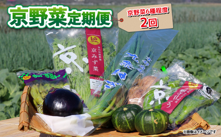 [ 定期便 ] 京野菜 野菜 6種 程度 定期便 2回 (野菜 詰め合わせ 野菜 京都 野菜セット 季節 旬 栄養食 栄養野菜 九条ネギ 野菜 万願寺 野菜 賀茂なす 野菜 京都府産 野菜 数量限定 冷蔵 サラダ 健康 )