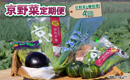 [ 4回定期便 ] 京野菜 野菜 6種 程度 定期便 4回 詰め合わせ 京都 野菜セット 季節 旬 栄養食 栄養 九条ネギ 万願寺 賀茂なす 京都府産 数量限定 冷蔵 サラダ 健康 BBQ バーベキュー 健康食品 緑黄色野菜 美肌 美容 ふるさと納税 ギフト ギフト用 贈答 贈答用 品 贈り物 お中元 お歳暮 サラダ 農家直送 産地直送 新鮮 人気 おすすめ リピーター