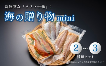 京都 舞鶴産 干物 詰め合わせ セット 2〜3種 海の贈り物 mini 盛り合わせ 季節 旬 ひもの 海鮮 魚介 おかず おつまみ 晩酌