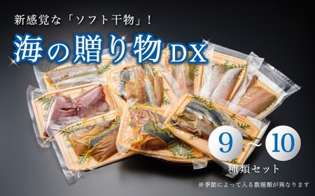 干物 盛り合わせ 9〜10種 豪華 季節 旬 ひもの 詰め合わせ セット 京都 舞鶴 海の贈り物DX おかず おつまみ