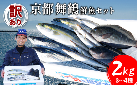 訳あり 鮮魚 詰め合わせ セット 3?4種 約2kg 2キロ 旬 厳選 朝 獲れ 鮮度 抜群 冷蔵 送料無料 あじ サバ ススキ つばす 鯵 鯖 鰯 サゴシ グレ 鯛 カマス 赤カレイ いわし レンコダイ トビウオ