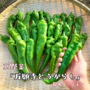 y2025NĔz u莛Ƃ炵v 炭ȂIÂ i  2kg 4lȏp ` Ƃ炵 莛 s[} ^  Ė _ƒ g uߕ ϕ Vs