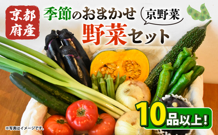 [6〜9月末発送]京都府産おまかせ野菜セット(夏) ふるさと納税 京野菜 京都府産 旬野菜セット 泉食料品店 お取り寄せ 新鮮野菜 BBQ 野菜スープ 野菜ジュース