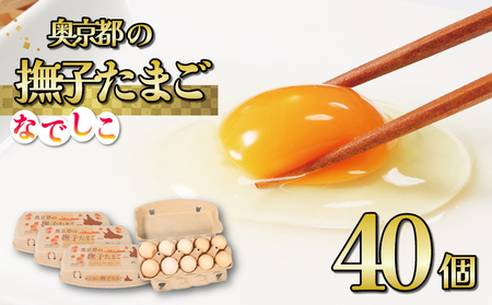 奥京都の撫子たまご 40個入(30個+割れ保証10) 三和鶏園 MS〜LLサイズ (卵 たまご ピンク卵 玉子 生卵 鶏卵 卵かけご飯 贈呈用 濃い セット 玉子焼き 卵焼き ゆで卵 卵黄 ふるさと納税 ふるさと納税 玉子 日用品 消耗品)