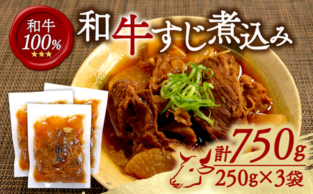 和牛すじ煮込み 3袋セット 750g (250g×3袋) 和牛 すじ煮込み すじ 冷凍 小分け 肉 牛 牛肉 ごはんのお供 個包装 ふるさと納税 おかず おつまみ 晩酌 煮物 木津川市 京都