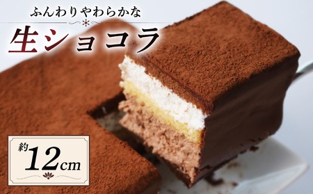 スイス産チョコレートのチョコレートケーキ 「ショコラdeショコラ」 (冷凍 チョコレートケーキ チョコケーキ スイーツ チョコレートケーキ)