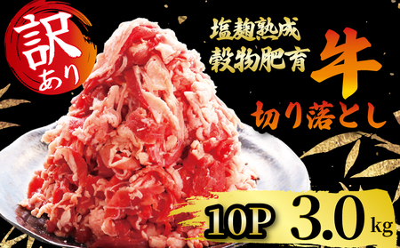 訳あり 牛肉 切り落とし こま切れ 300g × 10パック 3.0kg (牛肉切り落とし 冷凍 牛肉切り落とし こま切れ 細切れ 京都牛肉切り落とし 14000円 牛肉切り落とし 牛肉切り落とし)