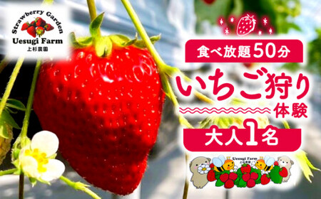 いちご狩り 大人1人利用券 みんなでいちご狩り 家族でいちご狩り 友達といちご狩り デートでいちご狩り