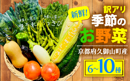 yAz G߂̖ lߍ킹 6`10 s  Ȃ g}g ˂ Zbg  ~ VN 󂠂  L@ ͔| R ܂ TCY  {[  T_ 