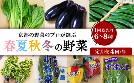 京野菜定期便 年4回 6〜8種類 京野菜 人気の京野菜 おまかせ京野菜 春夏秋冬の京野菜