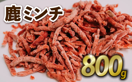 ~` 800g WrG   ~` ڂ k Ԑg no[O  Ⓚ s{