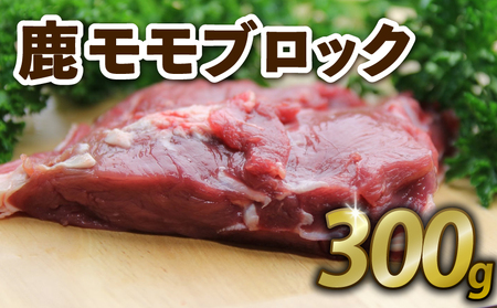 鹿もも肉ブロック300g ジビエ 鹿肉 鹿 鹿モモ肉 ブロック 香草焼き ロースト BBQ 冷凍 京都府