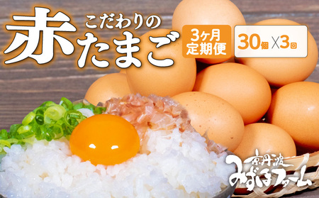 [定期便]赤たまご 30個 (割れ保証4個含む) 3回 定期便 定期 京都 こだわり卵 卵 たまご 濃い 玉子 セット 玉子焼き 卵焼き オムレツ 卵かけご飯 ゆで卵 鶏卵 卵黄 玉子スープ サンド 玉子焼き 玉子丼 19000円 ふるさと納税 ふるさと納税 日用品 消耗品 tamago 生卵 国産 まとめ買い 京都府 京丹波町 瑞穂 みずほファーム 純国産 鶏