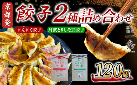 [京都餃子 一条]餃子2種セット「にんにく餃子・丹波とりしそ餃子」120個 餃子 冷凍餃子 惣菜餃子