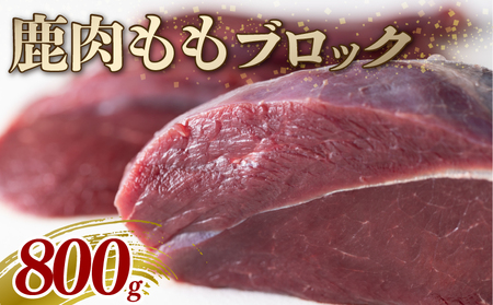 鹿モモ肉 ブロック 800g ジビエ 鹿肉 鹿 モモ 赤身 ブロック肉 カレー シチュー 煮込み料理 ヘルシー あっさり 食べやすい 美味しい 新鮮 冷凍 京都府