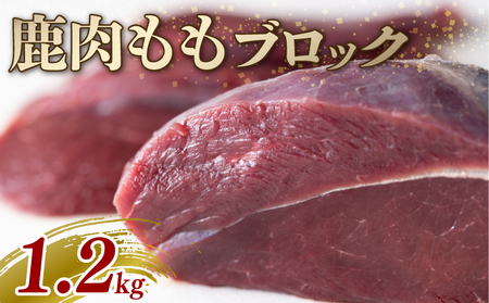 鹿もも肉 ブロック 1.2kg ジビエ 鹿肉 鹿 モモ 赤身 ブロック肉 カレー シチュー 煮込み料理 ヘルシー あっさり 食べやすい 美味しい 安全 新鮮 冷凍 京都府