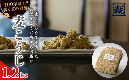 大阪屋こうじ店 麦こうじ 1升 (1.2kg) 麦麹 麦こうじ むぎこうじ 麹 塩麹 味噌 甘酒 国産 和食 発酵食品 冷蔵 京都府