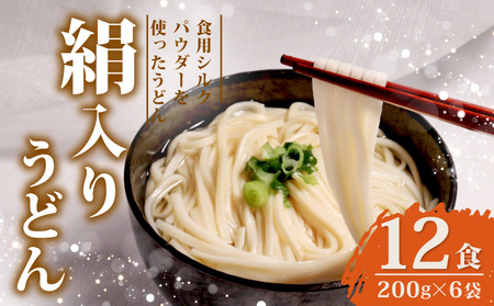 うどん 絹入りうどん 約12食(200g×6袋) シルクパウダーのうどん 絹うどん もちもちうどん 与謝野のうどん 京都のうどん