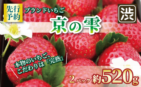 [先行予約]いちご 京の雫 2パック約560g 京都のいちご 甘いいちご ブランドいちご 完熟いちご