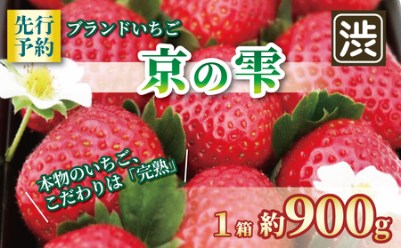 [先行予約]いちご 京の雫 1箱約900g 20〜28粒入り 京都のいちご 甘いいちご ブランドいちご 完熟いちご