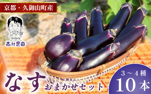 なす 4種類 おまかせ 10本(水なす・フルーツなす・千両なす・ふわとろ長なす)ナス 京都