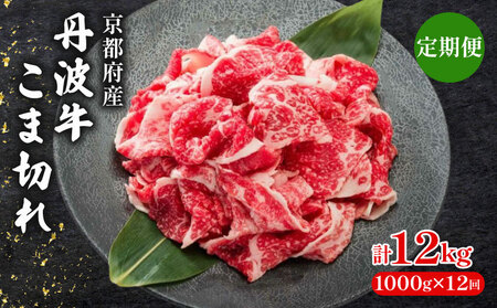 y 12  z Ogܐ؂ 1000g 1kg 12 ܐ؂ א؂ Ԑ؂  јa