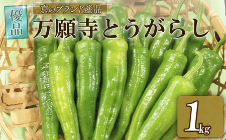 [ 期間限定 7月8日まで受付 ]万願寺とうがらし 1kg 優品 京野菜 とうがらし 国産 新鮮 旬野菜 旬 美味しい おいしい ブランド 京都府 期間限定 野菜 京都 万願寺唐辛子 ふるさと納税 ふるさと納税野菜