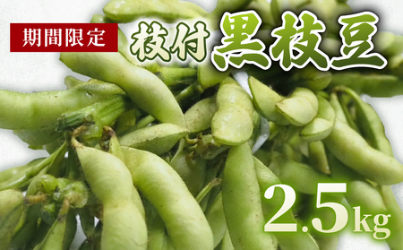 【期間限定】 大容量  枝付き 黒枝豆 大容量 2.5kg (大容量 野菜 大容量 枝豆 大容量
